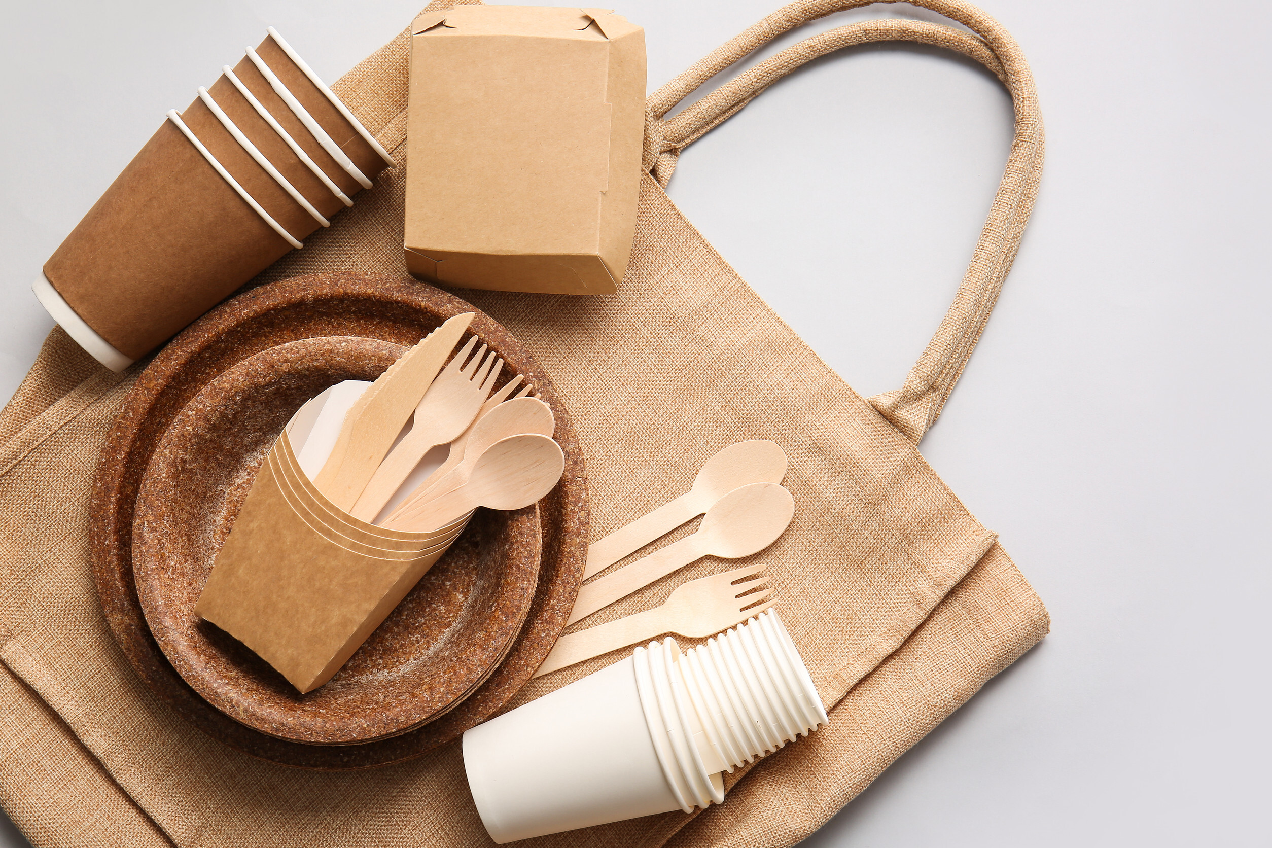Sustainable materials for restaurant supplies including sugarcane bagasse, PLA, bamboo, and palm leaf displayed in a natural setting